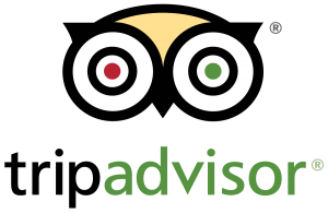 Tripadvisor-logo